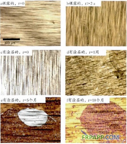 石墨烯在功能涂料中的应用概述